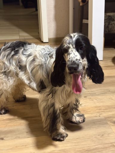 Hey ich bin wieder da 