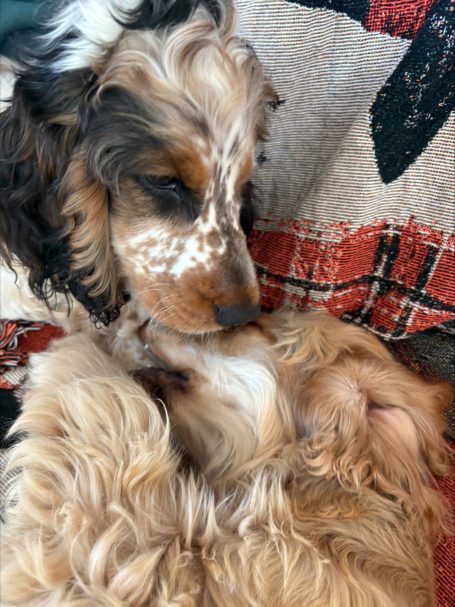 Kuscheln mit Jo
