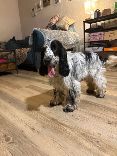 Wow eine tolle Familie zum toben 