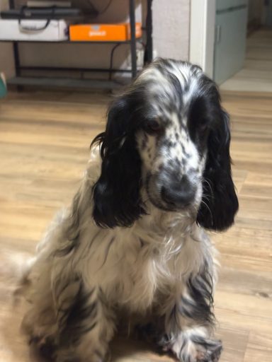 Nachdenken, soll ich das machen ?