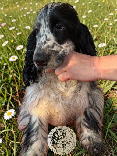 Bye Bye Mama - das letzte Bild ;)