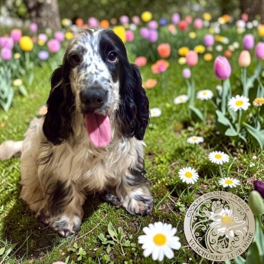 Mein kleiner Schatz , jetzt wachse erstmal in Ruhe