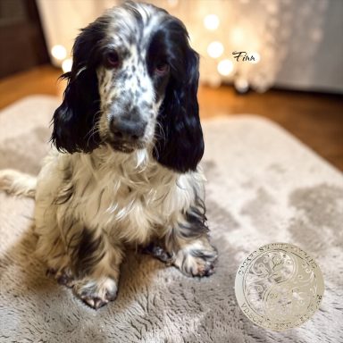 Eine kleine Schönheit 